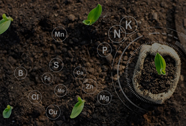 fertilizer