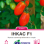 інкас