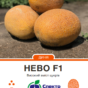 нево