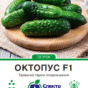 октопус20