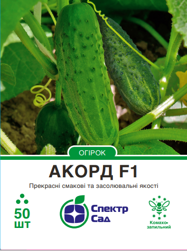 akord-ogirok-50nas