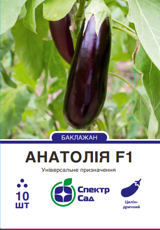 Anatiliya-baklazhan-10nas