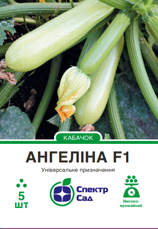 ангеліна5