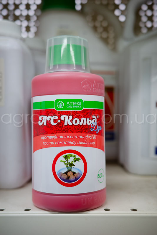 as-kold-500ml