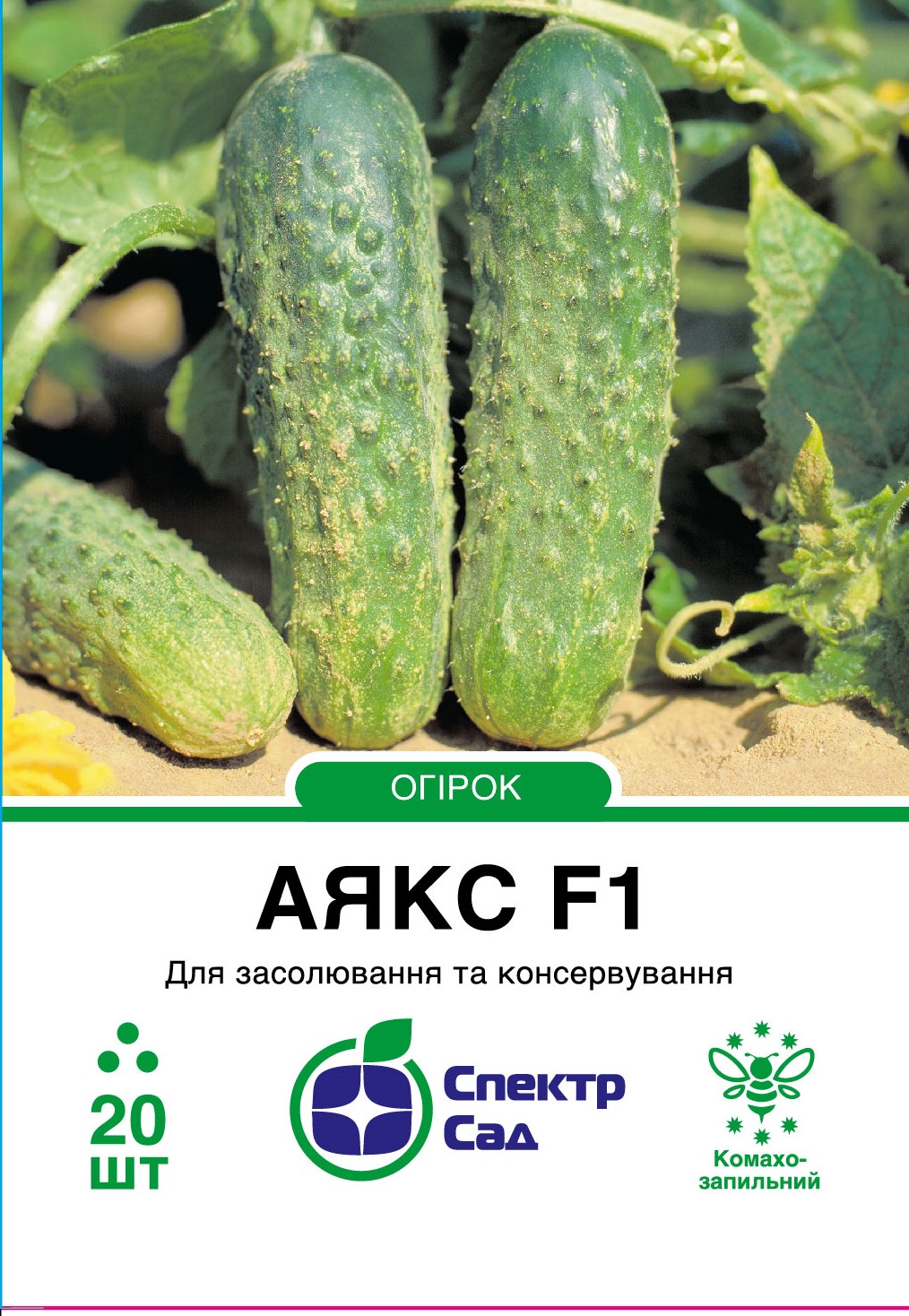 Ayax_20_175x138,112