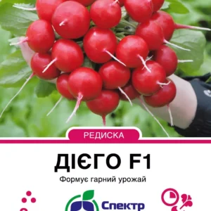 Дієго
