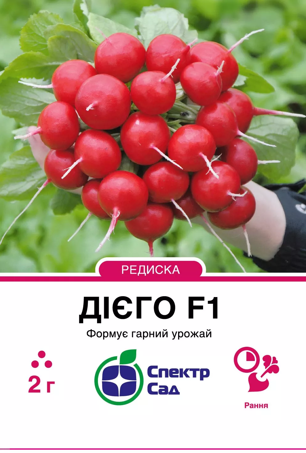 Дієго
