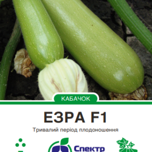 езра