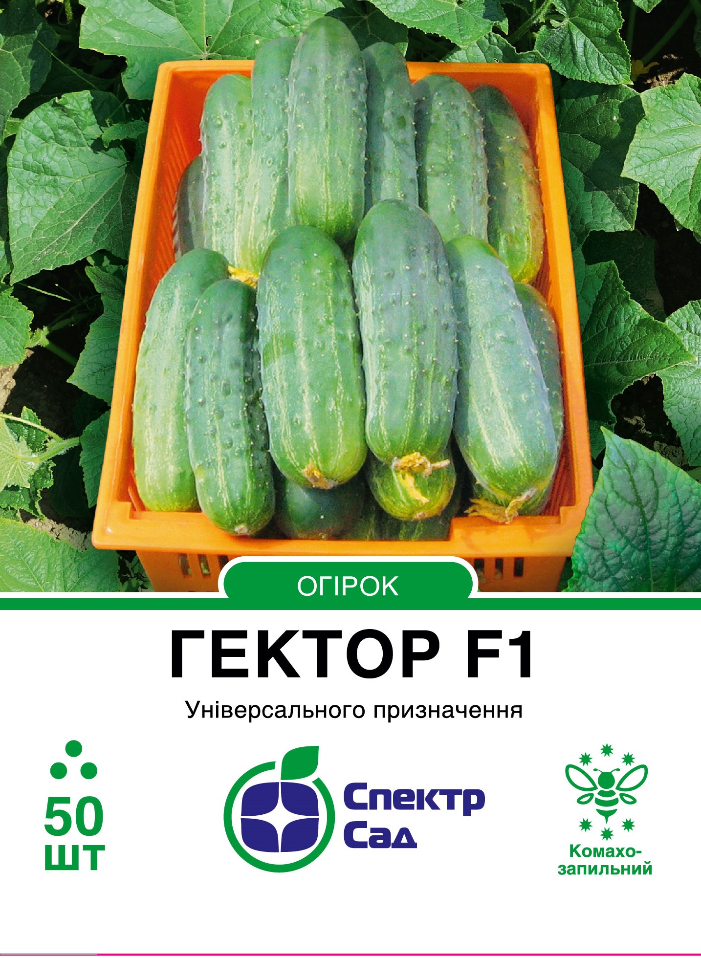 Gektor_50_250x177,8