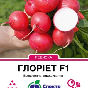 Gloriet_200_175x138,112