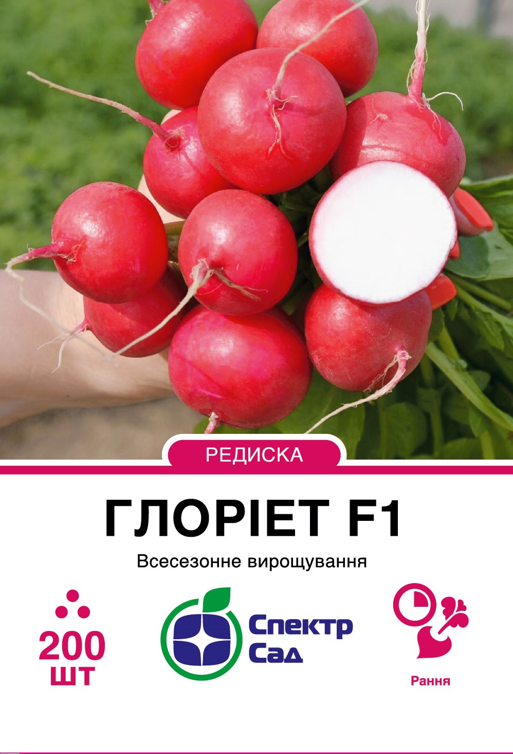 Gloriet_200_175x138,112