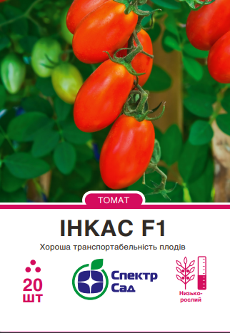 інкас