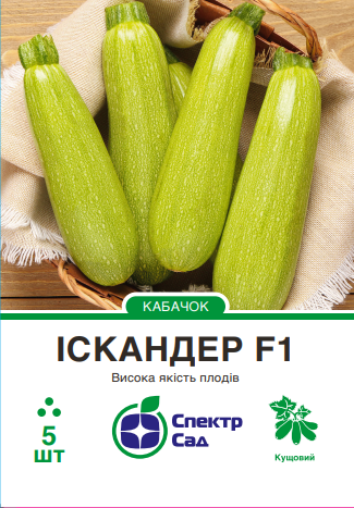 іскандер