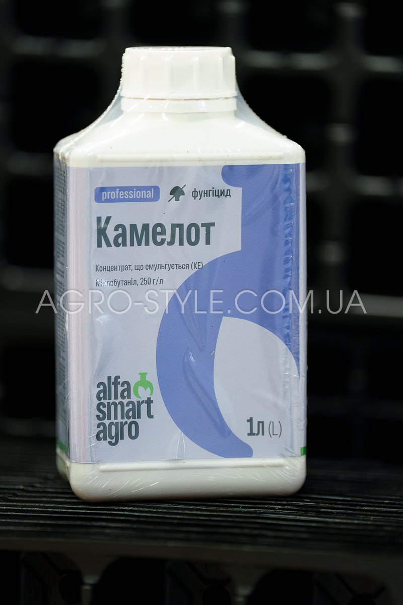 kamelot_1l