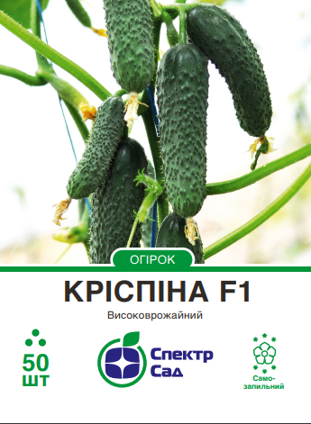 кріспіна 50