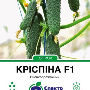 Krispina_10_175x138,112