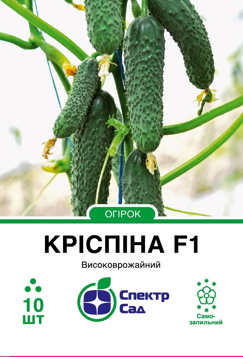 Krispina_10_175x138,112