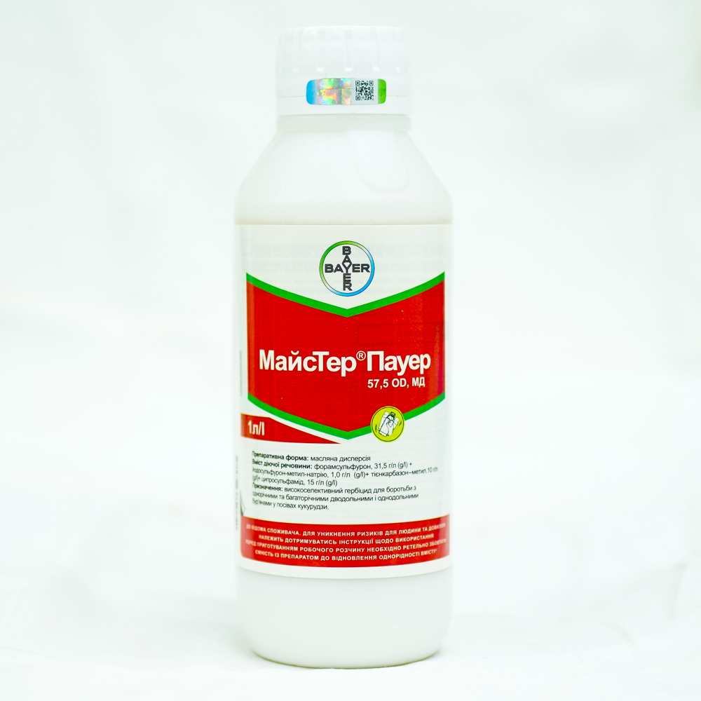 Maister-pauer-1l
