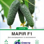 марія