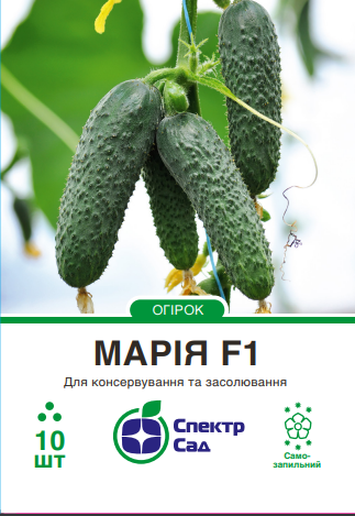 марія