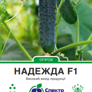 надежда
