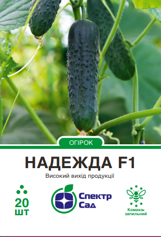 надежда