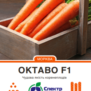 октаво