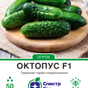октопус 50
