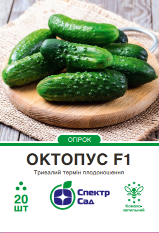 октопус20