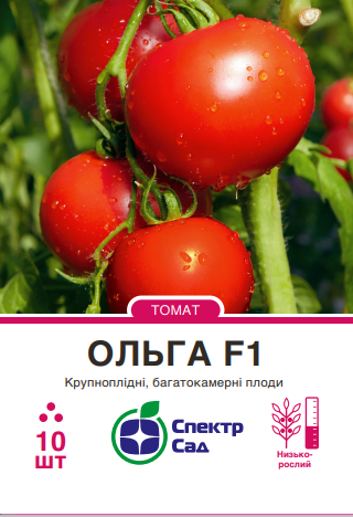 Ольга