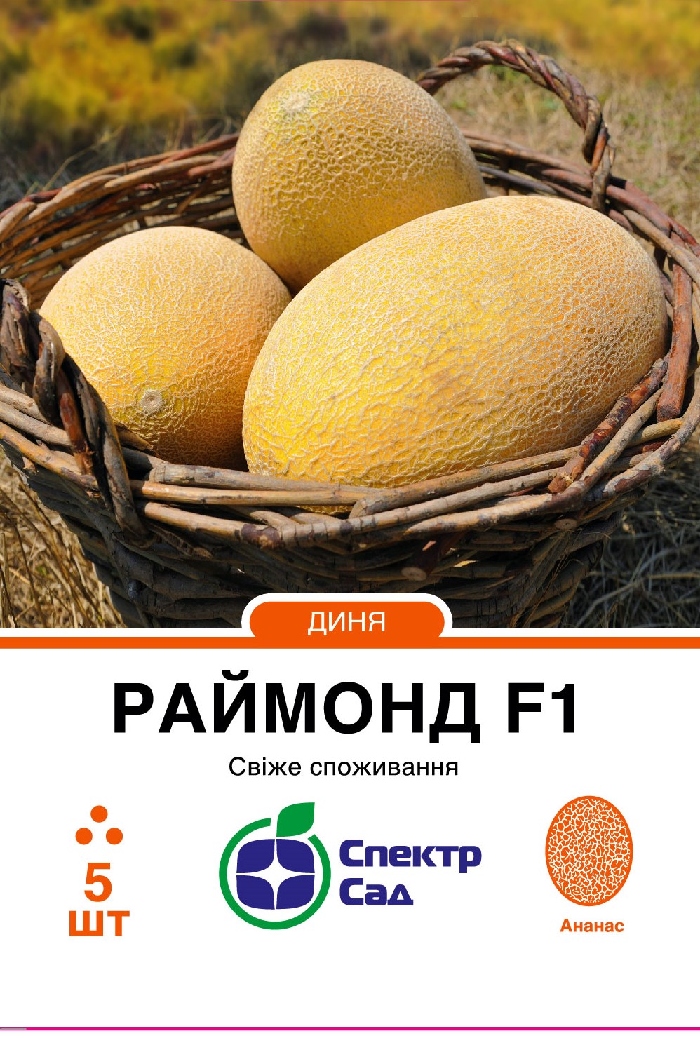 Raymond_5_175x138,112