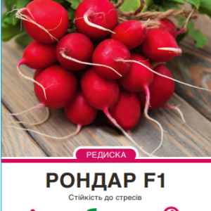 Рондар