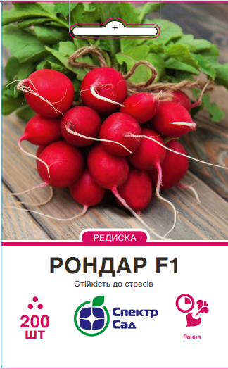 Рондар