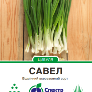 Савел