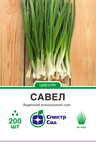 Савел