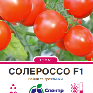 Солероссо
