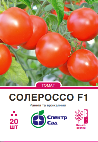 Солероссо
