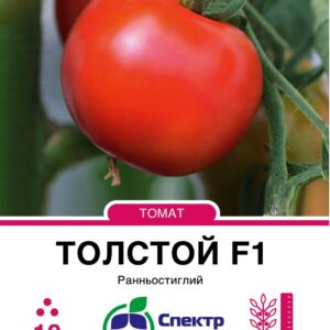 Tolstoy_10_175x138,112