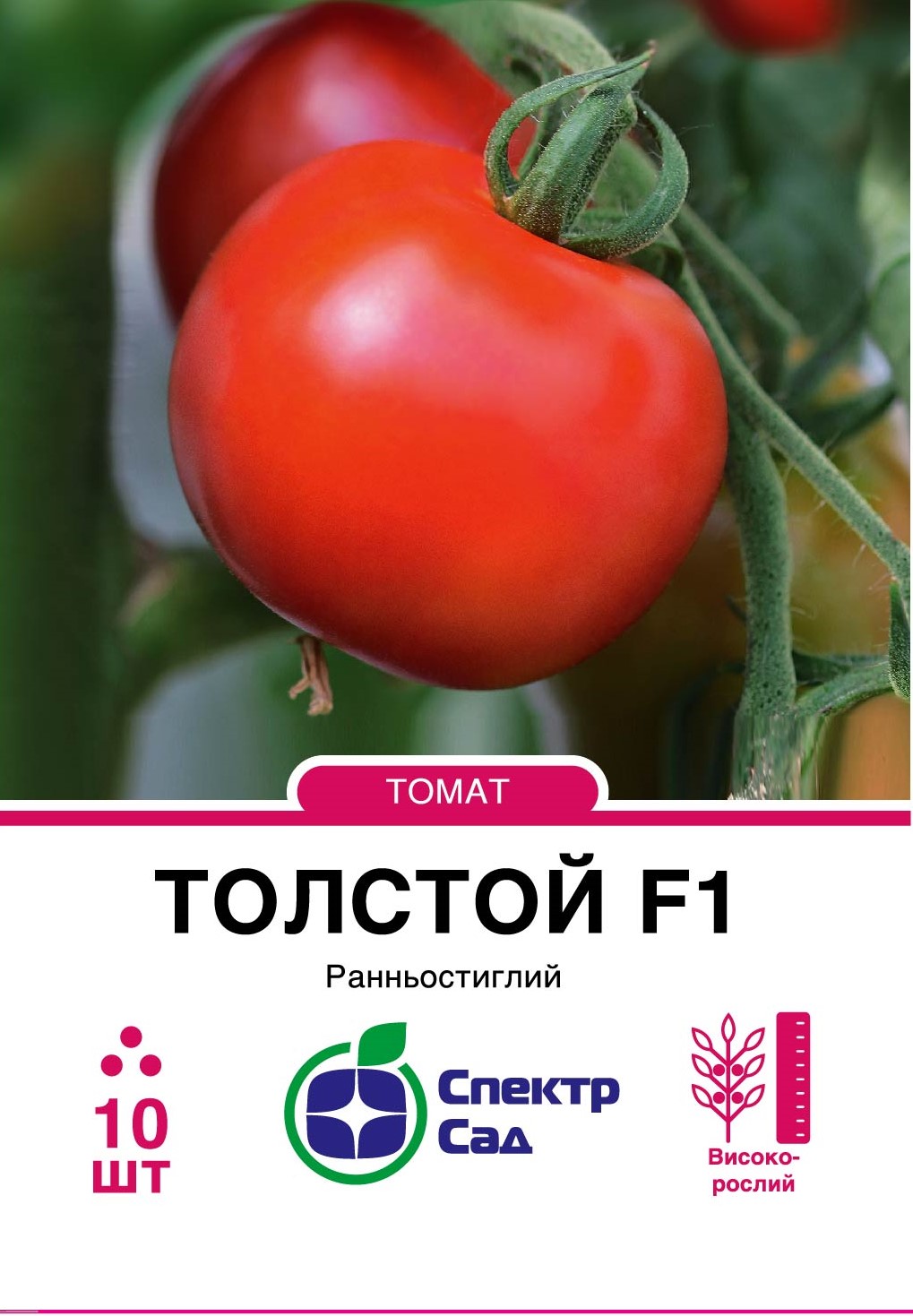 Tolstoy_10_175x138,112