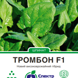 Тромбон