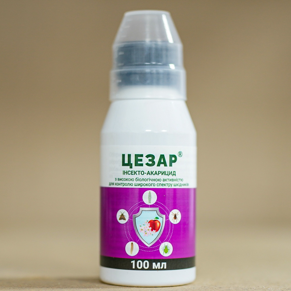 tsezar-100ml
