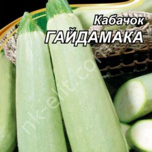 kabachokGaydamaka