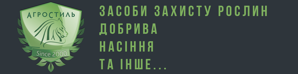 site_main_banner1