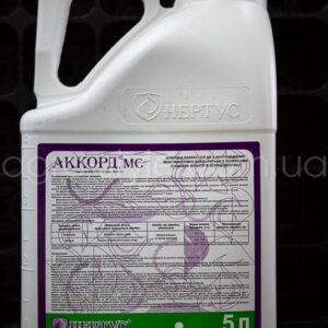 akkord-5l