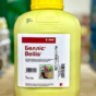 bellis-1kg
