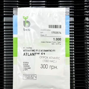 ogirok-atlantis-1000sht