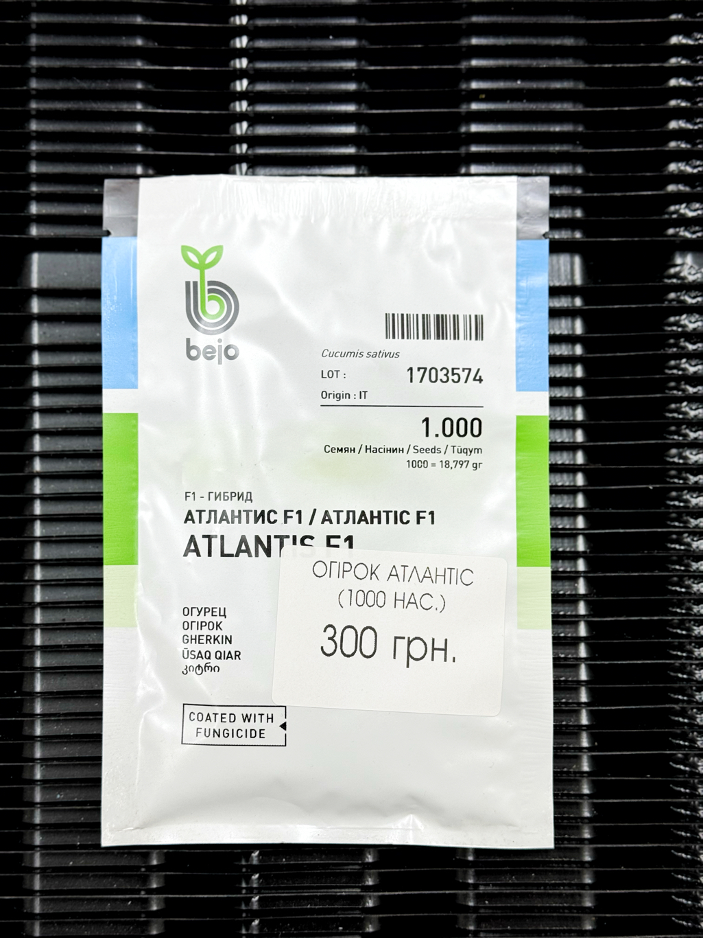 ogirok-atlantis-1000sht