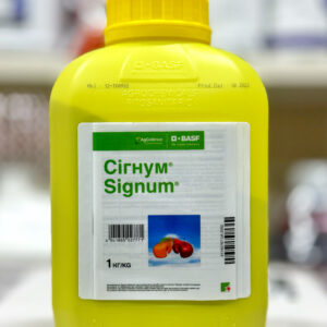 signum-1kg