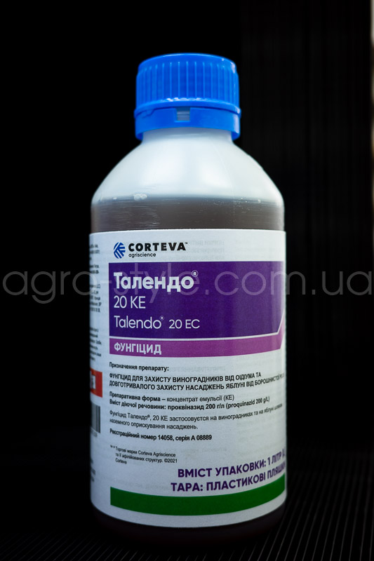 talendo-1l