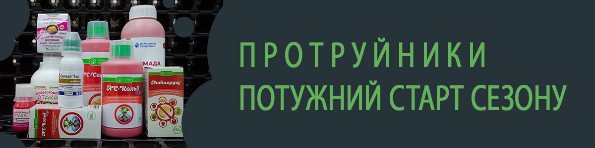 protruiniki